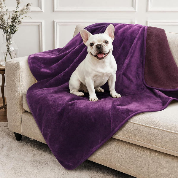 LOOBANI Waterproof Blanket for Bed, Soft Flannel Twin Bed Blanket 60" X 80" | Dog Pet Blankets for Large Dogs, Reversible Spill-Proof Throw for Couch Cover, Movie Time, Camping, Travel, Noise Free, Grey18