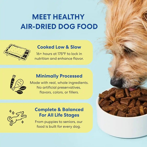 The Pets Table Chicken & Sweet Potato Air Dried Dog Food, 1 Lb / 16 Oz Bag3