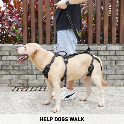 COODEO Mobility Dog Lift Harness, Support Sling & Walking Sling for Dogs, Pet Rear Leg Rehabilitation Support Vest, Dog Carrier for Senior Dogs with Joint Injuries, Arthritis, up Stair (Black, L)4