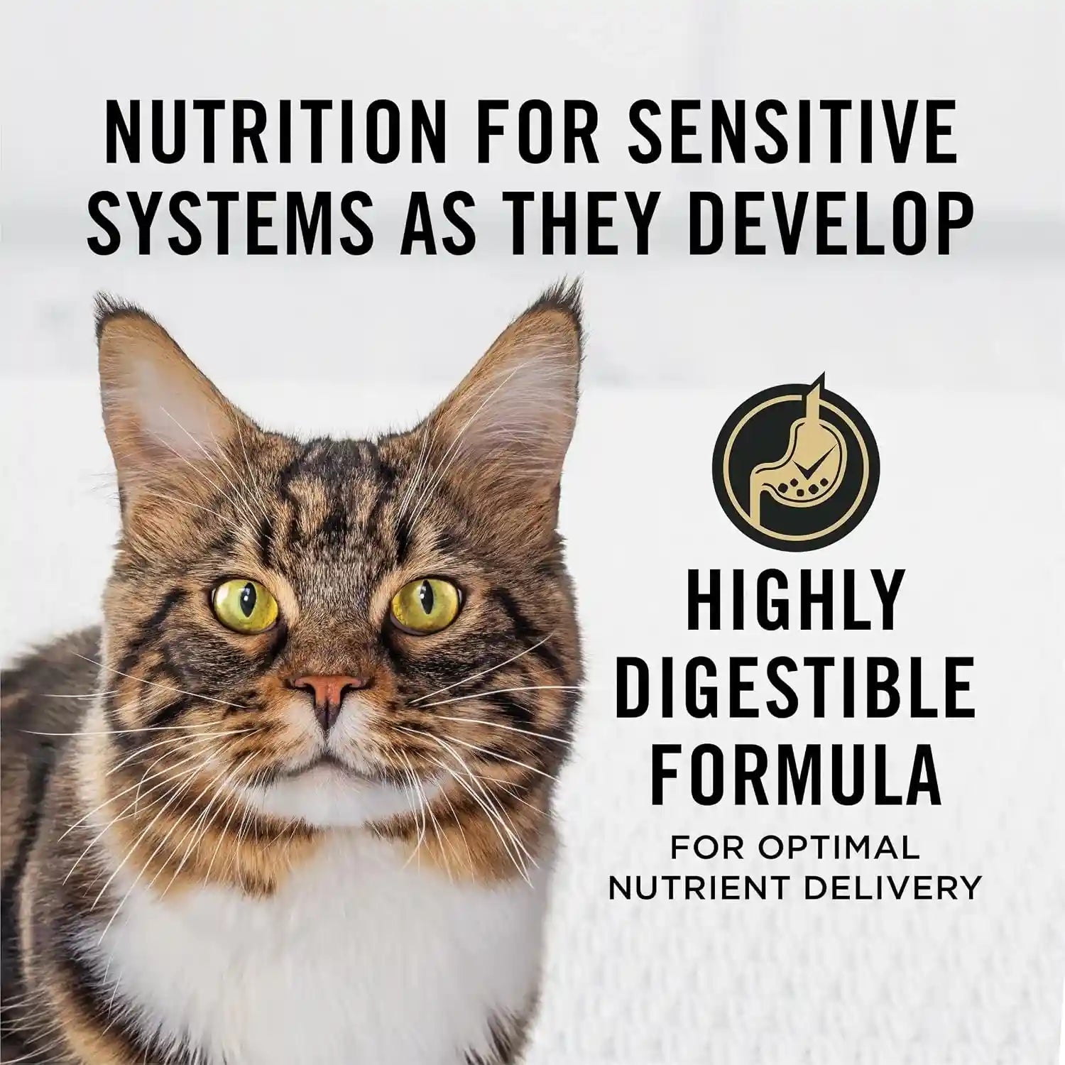 purina-pro-plan-sensitive-skin-and-stomach-adult-cat-food-salmon-and-rice-formula-7-lb