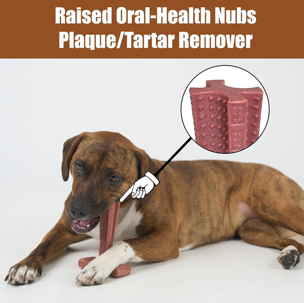 SPOT Bam-Bones plus T Bone – Bamboo Fiber & Nylon Dog Chew Toy for Moderate to Aggressive Chewers, Durable Long Lasting & Non-Splintering, Beef Flavor Toy for Adult Dogs & Puppies under 60 Lbs, 6 In11