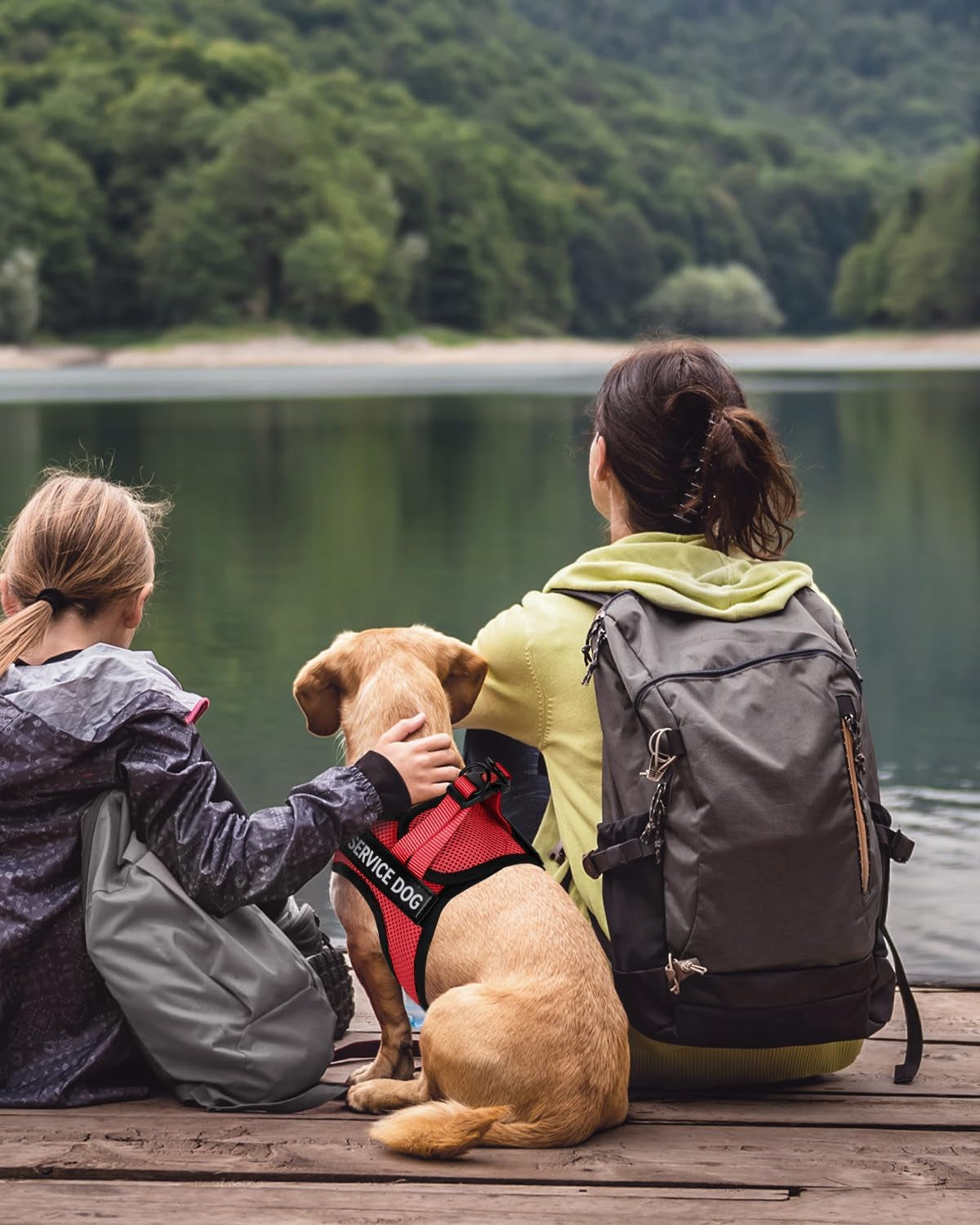 fayogoo-service-dog-vest-for-small-dogs-lightweight-dog-harness-with-6pcs-removable-patches-puppy-harness-and-leash-set-for-walking-training