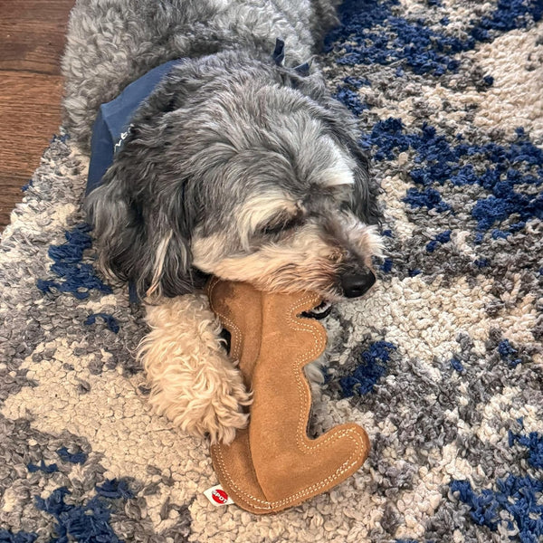 SPOT Dura-Fused Leather Squirrel Dog Toy – Real Leather & Jute Fabric, Double-Stitched & Durable, Soft Stuffed Squeaky Interactive Chew Toy for Moderate Chewers, Small & Medium Dogs, 8In11