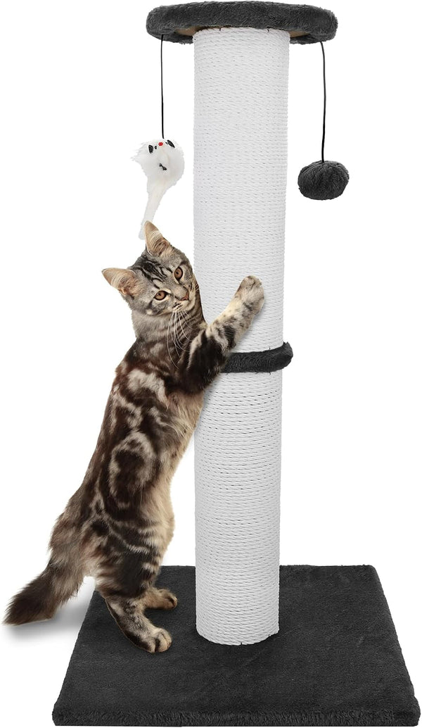 34-Inch Tall Cat Scratching Post for Large Cats, Stable Base, Gray | Heavy-Duty Cat Scratcher, Extra-Tall Thick Post, Soft Natural Cotton Rope, Hanging Interactive Cat Toys, Indoor Cat Furniture10