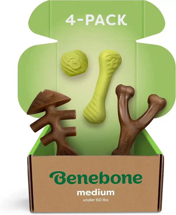 Benebone Small 4-Pack Dog Toys for Aggressive Chewers – under 30 Lbs11