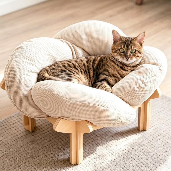 PACHIRA Elevated Cat Bed Wooden, Cat Couch Fluffy, Cat Sofa Flower for Indoor Cats, Raised Cat Bed with Washable Fluffy Cushion and Birch Wood, Cat Chair for Kitty and Puppy, Cat Furniture (White)1