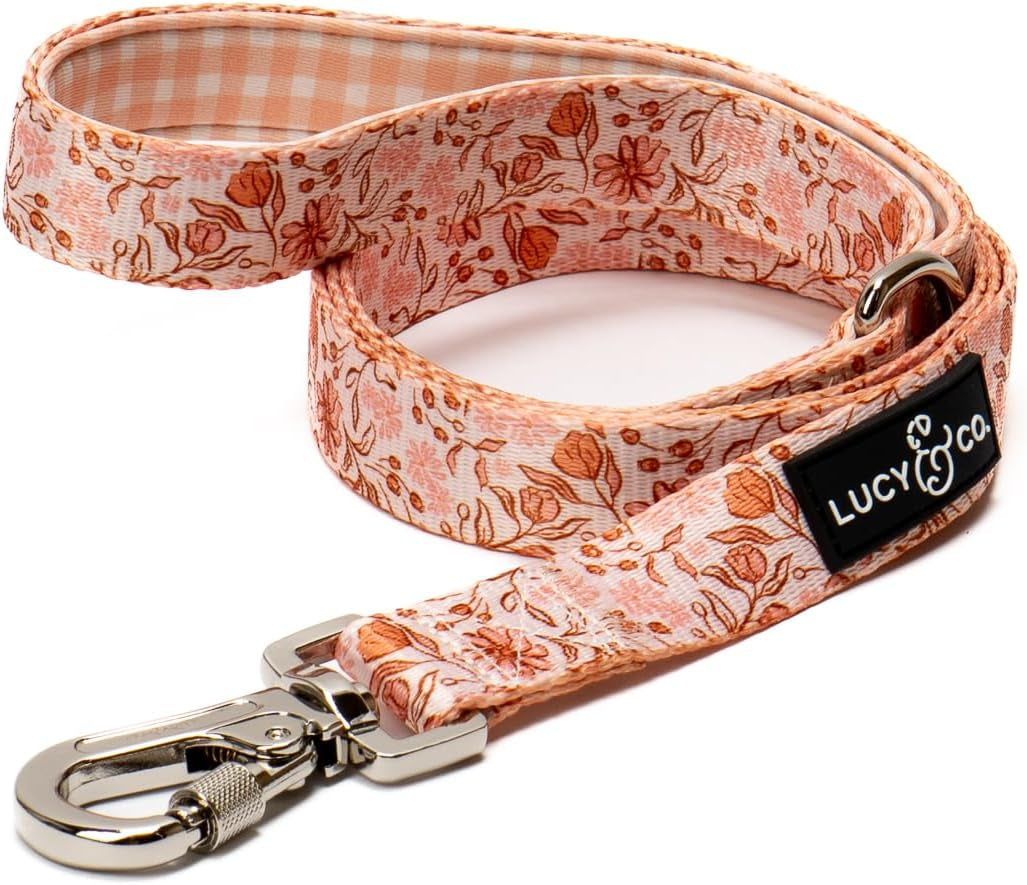 lucy-co-cheery-cherries-designer-dog-leash-for-small-to-large-dogs-padded-handle-for-comfort-large-red-gingham-cherries-5-foot