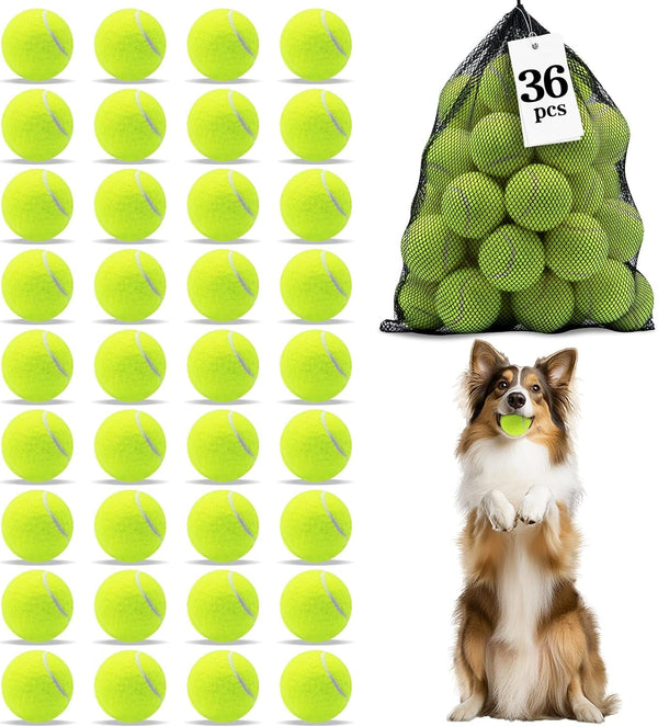 Magicorange Tennis Balls for Dogs,Colorful Easy Catching Dog Balls,4 Pack | Bright Yellow/Pink/Orange/Blue Dog Playing Balls, Easy to Spot and Fetch, with Mesh Bag for Training and Outdoor Fun8