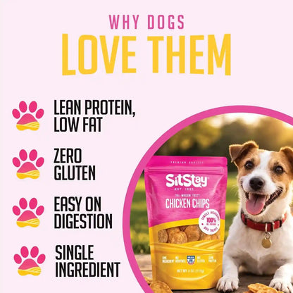 Sitstay Chicken Chips Dog Treats, Chicken Chips for Dogs - Single Ingredient Dog Treats - Dehydrated, 80% Protein Low Fat - Training Rewards - All Breeds & Life Stages - Made in USA - 4 Oz4
