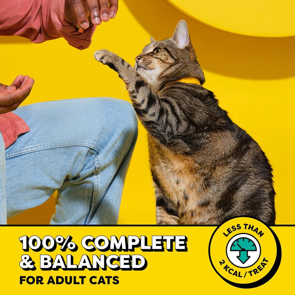 Temptations Classic Crunchy Cat Treats, Hearty Beef, 3 Oz, 12 Pack | Crunchy Outside, Soft Inside, under 2 Calories per Treat, 100% Complete & Balanced, Resealable Stay-Fresh Pouch3