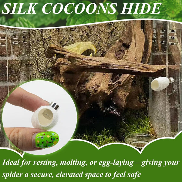 Jumping Spider Habitat Accessories Enclosure Habitat Accessories Jumping Spider Web Climbing and Feeding Platforms with Magnets for Small Insects Critters5