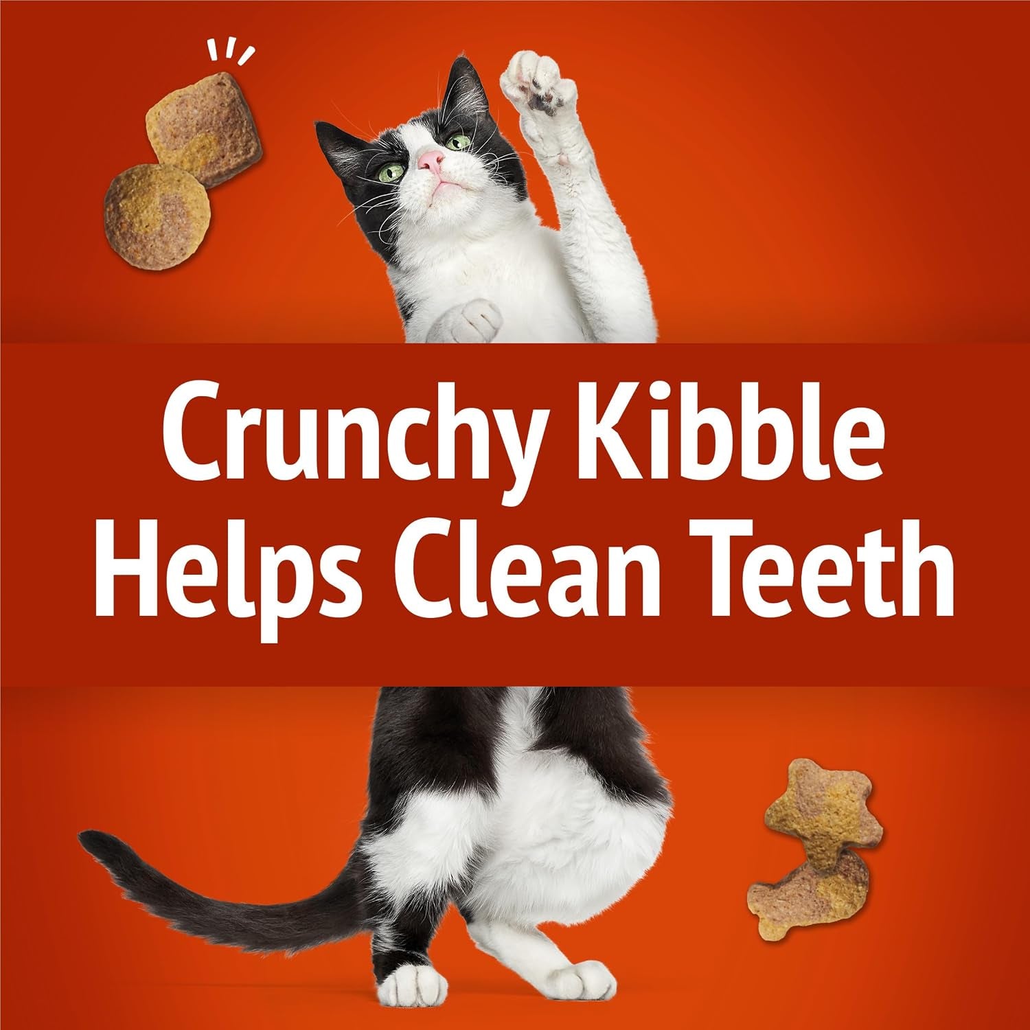purina-friskies-party-mix-gravy-licious-crunch-chicken-and-gravy-flavors-cat-treats-30-oz-canister