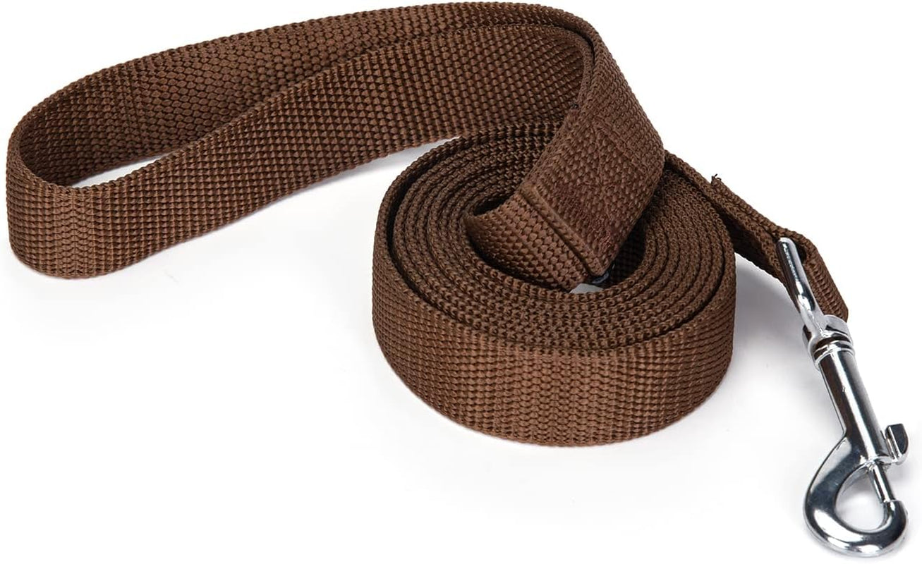 strong-durable-nylon-10ft-long-dog-training-leash-traction-rope-1-inch-wide-for-small-and-medium-dog-black-10-feet