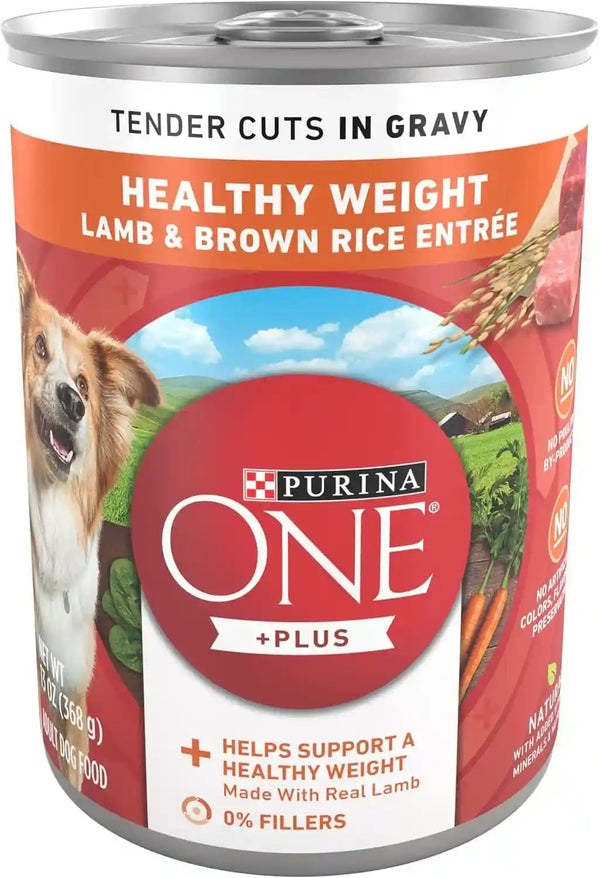 Purina ONE Classic Ground Chicken and Brown Rice Entree Adult Wet Dog Food - (Pack of 12) 13 Oz. Cans13