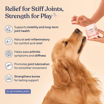 Pawfy Hip & Joint Supplement for Dogs with MSM & Vitamins | Glucosamine Chondroitin for Small, Medium & Large Breed - Supports Mobility & Bones | Glucosamine for Dogs with Omega 3-30 Chews2