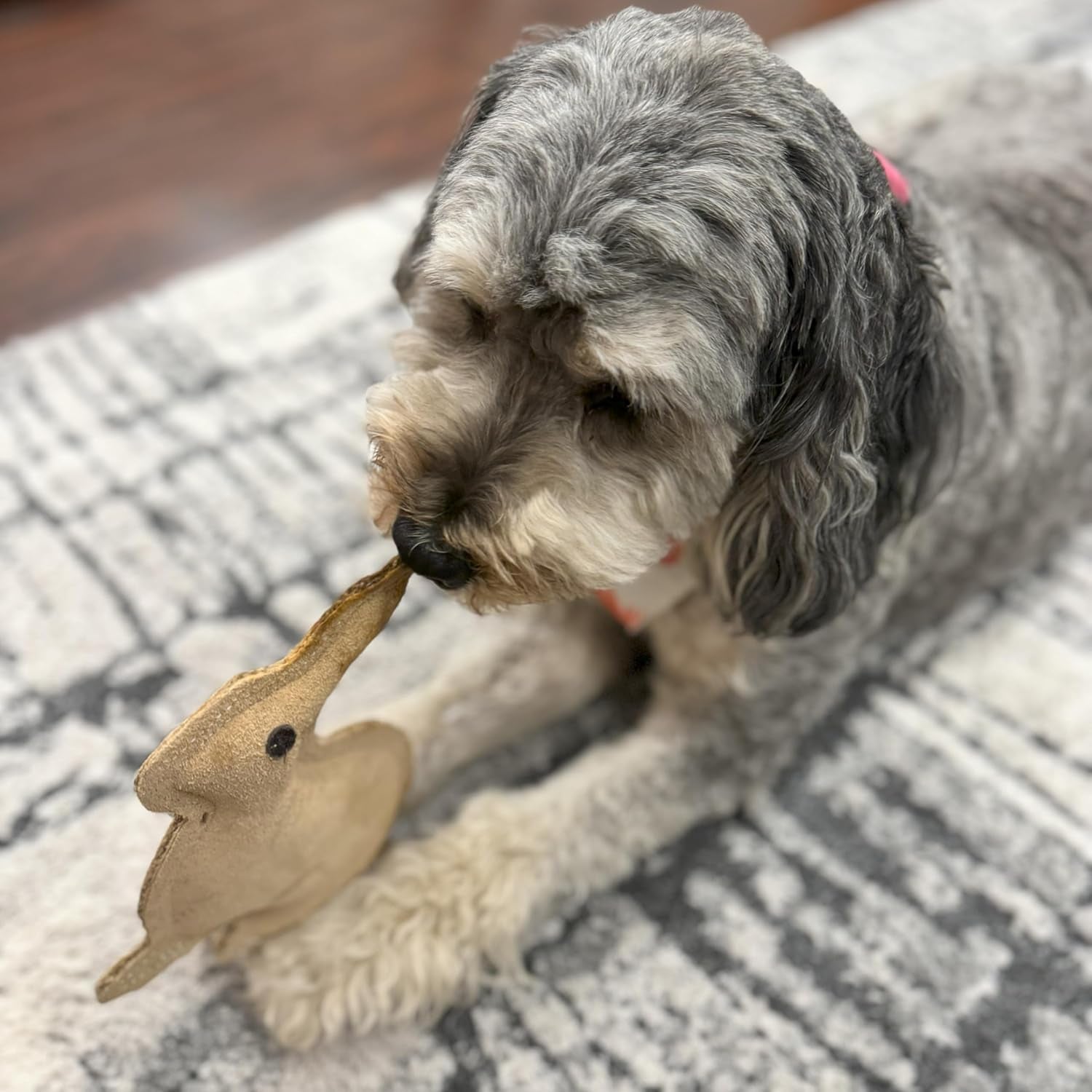spot-dura-fused-leather-rabbit-dog-toy-durable-real-leather-jute-chew-toy-with-squeaker-double-stitched-for-moderate-chewers-small-medium-dogs-7-5in