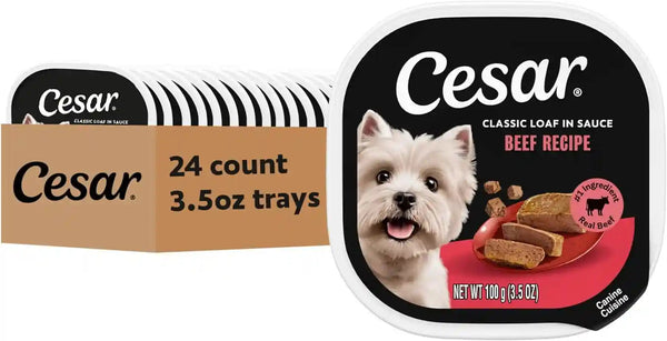 Cesar Classic Loaf in Sauce Wet Dog Food, Filet Mignon, 3.5 Oz, 24 Count | Made in USA, Real Beef #1 Ingredient, No Fillers/Added Sugar/Artificial Flavors, Use as Meal or Topper, Easy Peel Trays14