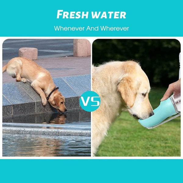 Kalimdor Dog Water Bottle, Leak Proof Portable Puppy Water Dispenser with Drinking Feeder for Pets Outdoor Walking, Hiking, Travel, Food Grade Plastic (19Oz Blue)5