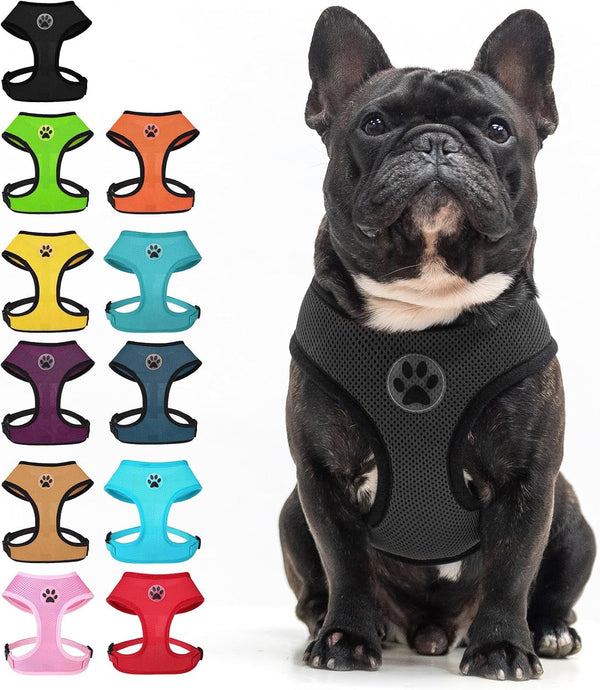 BINGPET Small Dog Harness, No Pull Dog Harness Small Sized Dogs, Soft Light Breathable Mesh Puppy Vest with Safety Buckle-Adjustable Step in Pet Harnesses for Easy Walking, Running, Training11