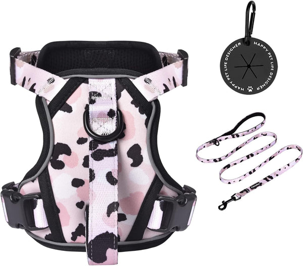 Petmolico No Pull Cute Dog Harness Reflective, Light Blue, Small | Set Includes Leash & Waste Bag Holder, 2 Clips & Handle, Soft Comfy Fit, Adjustable, Ideal for Daily Walks & Travel15