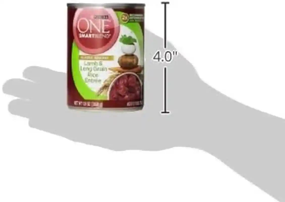 purina-one-plus-wet-puppy-food-classic-ground-healthy-puppy-lamb-and-long-grain-rice-entree-pack-of-12-13-oz-cans