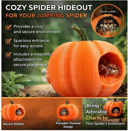 3Pcs Pumpkin Jumping Spider Hide Jumping Spider Enclosure Accessories Magnetic Mounting for Climbing, Resting and Exploration Small Reptile Enclosure Accessories (Pumpkin Hide)6