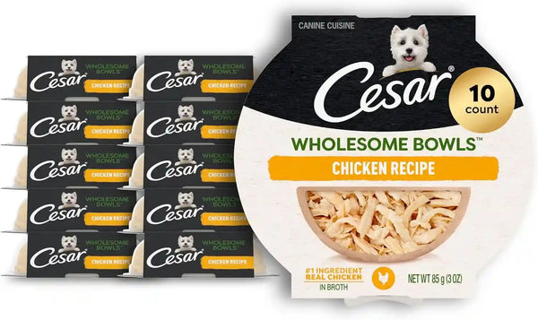 Cesar Wholesome Bowls Wet Dog Food, Chicken Recipe, 3 Oz, 10 Count | Real Chicken #1 Ingredient, Slow-Cooked, 7 Key Ingredients, No By-Products or Artificial Flavors, Easy to Digest1