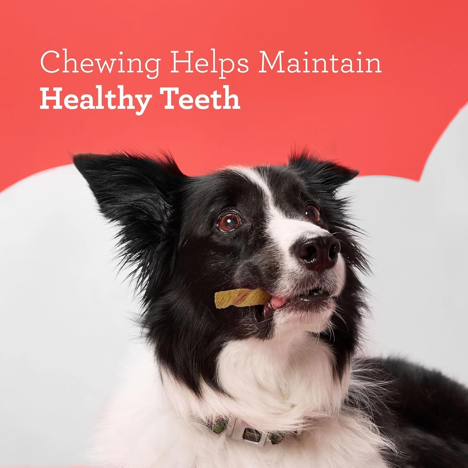 dreambone-puffy-rolls-rawhide-free-dog-treats-with-real-protein-8-count-daily-chew-digests-safely-and-completely-made-with-real-chicken-and-veggies-for-adult-dogs