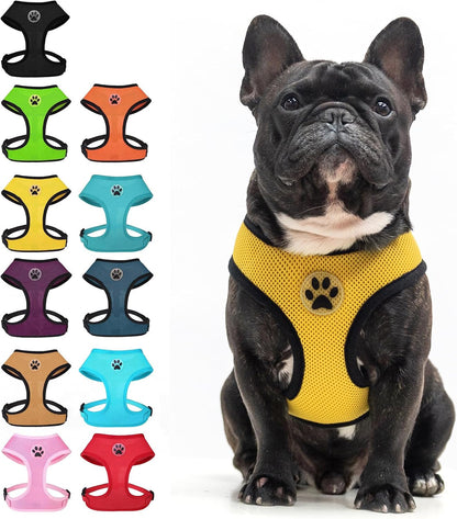 BINGPET Small Dog Harness, No Pull Dog Harness Small Sized Dogs, Soft Light Breathable Mesh Puppy Vest with Safety Buckle-Adjustable Step in Pet Harnesses for Easy Walking, Running, Training14