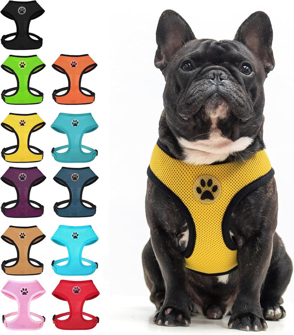 BINGPET Small Dog Harness, No Pull Dog Harness Small Sized Dogs, Soft Light Breathable Mesh Puppy Vest with Safety Buckle-Adjustable Step in Pet Harnesses for Easy Walking, Running, Training14