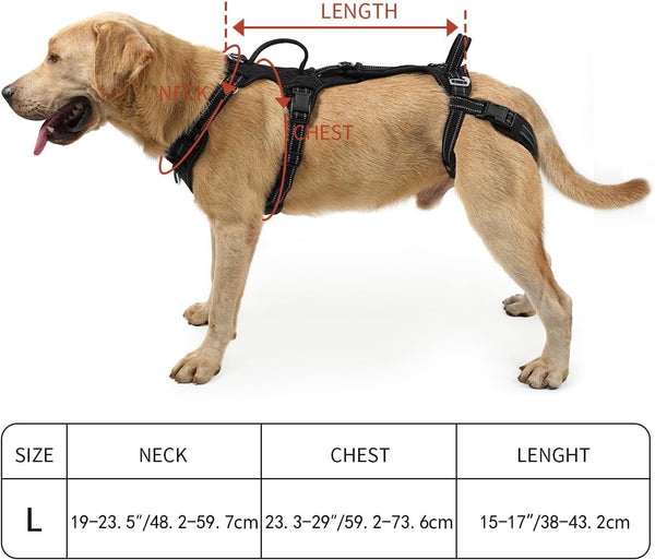 COODEO Mobility Dog Lift Harness, Support Sling & Walking Sling for Dogs, Pet Rear Leg Rehabilitation Support Vest, Dog Carrier for Senior Dogs with Joint Injuries, Arthritis, up Stair (Black, L)5