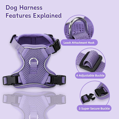Small Dog Harness and Leash Set, Adjustable Small Sized Pet Vest | Reflective Soft Breathable Mesh, 3 Buckles, Adjustable Neck and Chest, Easy on and Comfortable Secure Walking, Purple, S2