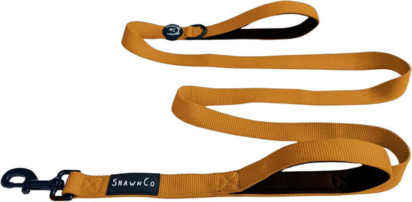 Shawnco Dream Walk Dog Leash- Premium, Nylon Pet Leash with Soft Neoprene Handle for Small, Medium and Large Dogs (ICY Lilac, M/L 6FT W/ 2 Handles)15
