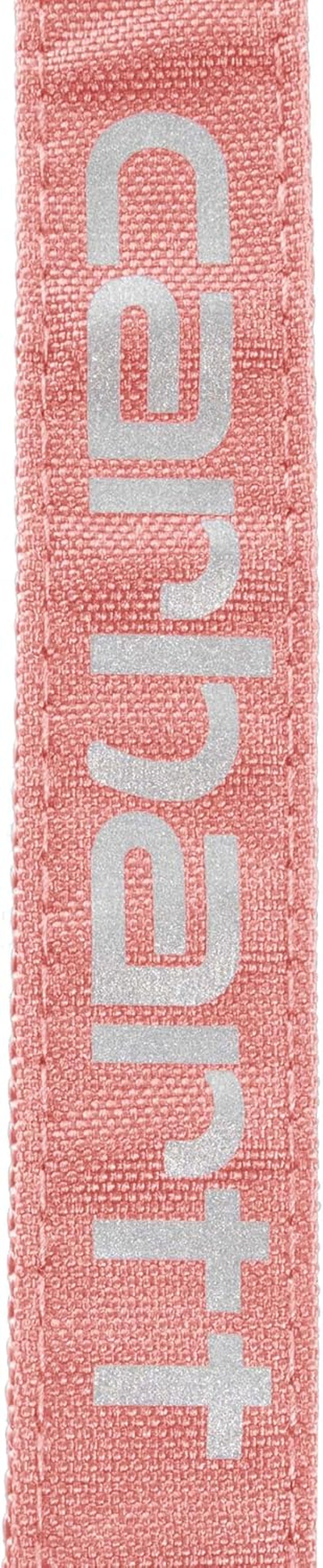 carhartt-field-dog-leash-durable-600-denier-fabric-w-adjustable-metal-d-ring-hardware-rose-tint-large