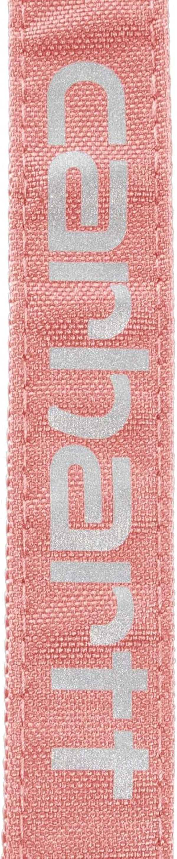 Carhartt Field Dog Leash, Durable 600-Denier Fabric W/Adjustable Metal D-Ring Hardware, Rose Tint, Large2