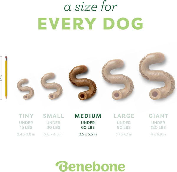 Benebone Tripe Bone Durable Dog Chew Toy for Aggressive Chewers, REAL Beef, Made in USA, Medium4