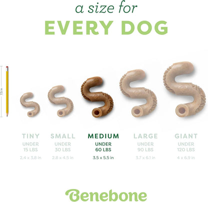 Benebone Tripe Bone Durable Dog Chew Toy for Aggressive Chewers, REAL Beef, Made in USA, Medium4