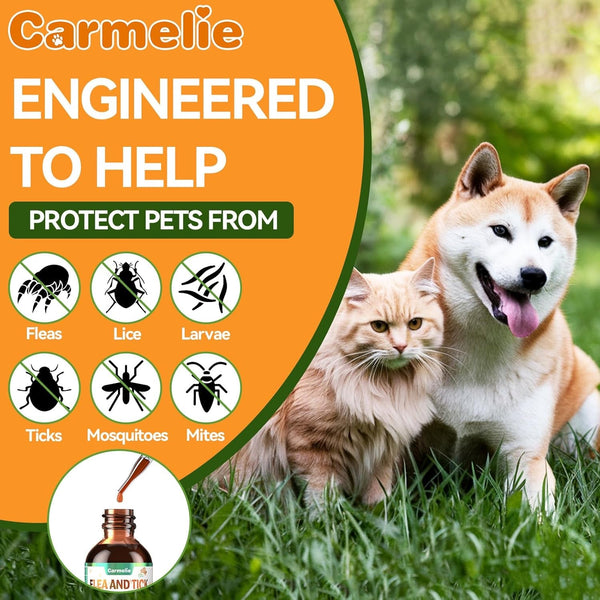 Oral Flea and Tick Prevention for Dogs and Cats with Vitamin 60Ml- Bacon | Dog & Cat Flea and Tick Defense, Cat Flea Drops Supplements with Natural Ingredients, Skin & Coat Supports, All Breeds & Ages7