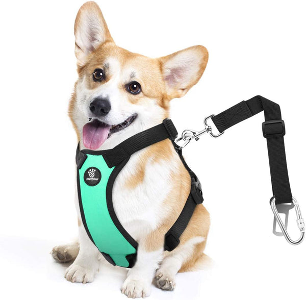 Vavopaw Dog Seat Belt Vest Harness for Car,2 in 1 Seatbelt Buckle | Soft Breathable Mesh,Adjustable Buckle,Nylon,Heavy Duty Pet Safety Seat Belts for Small Medium Large Pets,Black,L15