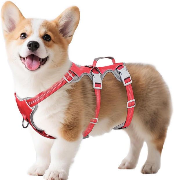 Huntboo Escape Proof Dog Harness, Escape Artist Harness, Reflective Harness with Padded Handle, Breathable, Durable, Adjustable Vest for Medium Dogs Walking, Training, and Running Gear (Blue, M)25