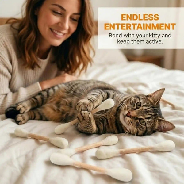 Glaciart One Swabs Cat Toys with Catnip - 6 Pk | Durable for Chew, Cute Cat Toys Interactive Kitty for Boredom, Exercise, & Play | Filled W/Organic Catnip for Anxiety & as Digestive Aid | Gift Idea4