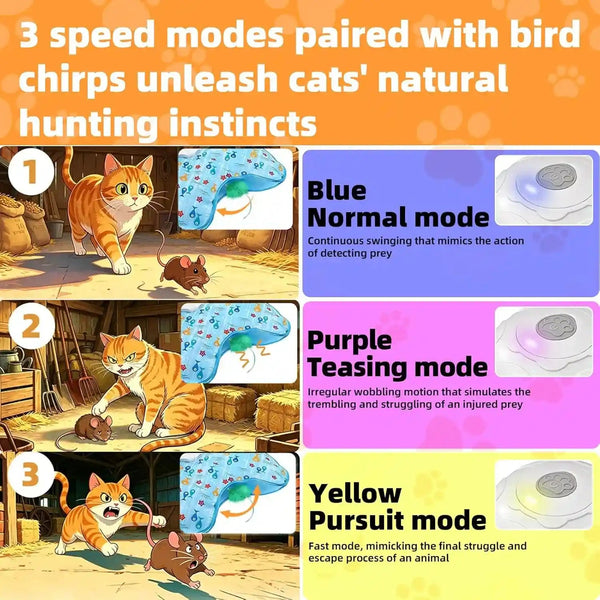 Interactive Cat Toy, Peek-A-Boo Series – Hidden Feather Wand, Rechargeable Indoor Hunting Toy, Squeaky Bird Sound, and Small Fish Pattern Cover4