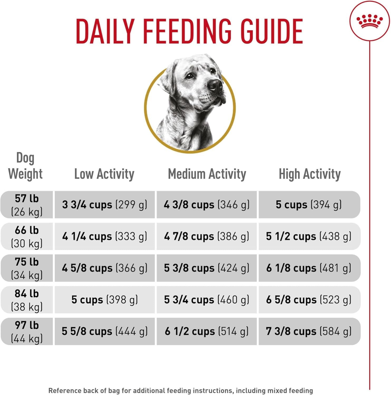 royal-canin-breed-health-nutrition-labrador-retriever-adult-dry-dog-food-30-lb-bag