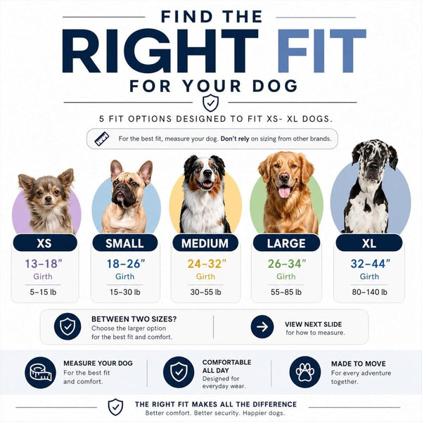 Shawnco Essential Dog Harness, No-Pull Pet Vest with 3 Leash Clips, No Choke, Reflective, Adjustable and Padded, for Easy Walking and Training for Small, Medium and Large Dogs (Oceanic Blue, S)5