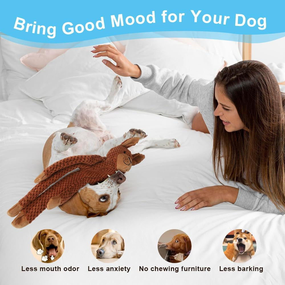 dog-squeak-toys-for-small-medium-large-dogs-durable-chew-toy-for-teething-and-chewing-tough-interactive-puppy-toy-5-pack-for-dogs