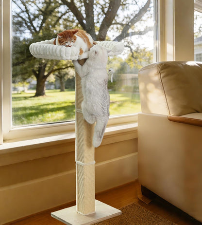 Cat Scratching Post with Large Window Perch, 47-Inch Tall Sisal Cat Tree | Glass Suction-Cup Mounting; for Large Cat & Maine Coons; Thick Square Sisal Post; Ultra-Soft Bolstered Bed; Hold up to 45 Lbs7