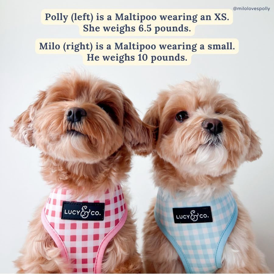 lucy-co-reversible-dog-harness-water-repellent-neoprene-dual-print-design-easy-swap-style-adjustable-comfort-fit-take-a-bow-reversible-harness-small