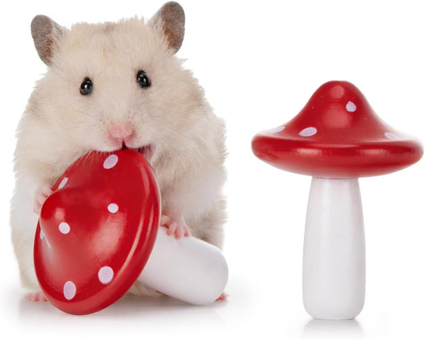 Niteangel Hamster Chew & Decor Toys: Pack of 6 Carrot-Shape & Beech Wood | Chew-Friendly Design to Control Tooth Overgrowth for Syrian Dwarf Hamster Gerbils Mice Lemming Degu or Other Small-Sized Pets7