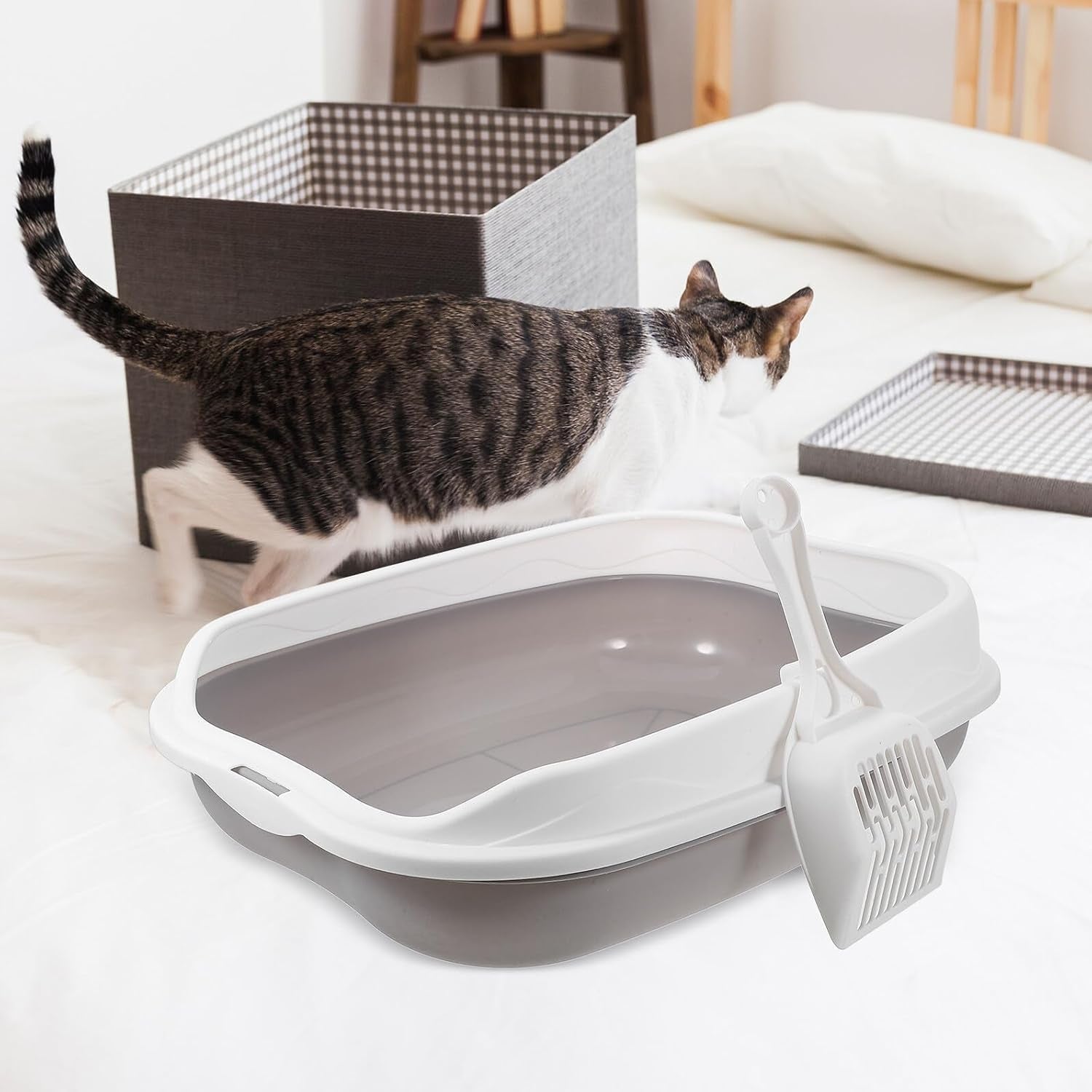 artibetter-semi-enclosed-cat-litter-box-with-scoop-small-gray-kitten-litter-pan-splash-resistant-open-design-pet-toilet-for-cats-and-kittens-suitable-for-indoor-housebreaking