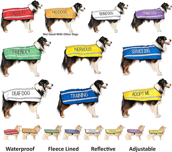 Dexil Limited Adopt ME (I Need a New Home) Yellow Color Coded Non-Pull Front and Back D Ring Padded and Waterproof Vest Dog Harness Prevents Accidents by Warning Others of Your Dog in Advance (S)8